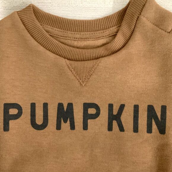 NWT!! Pumpkin Lightweight Sweatshirt Orange/Brown 6 Month Old - Picture 2 of 6